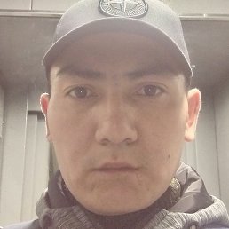 ������, ������, 33 ����