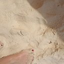 ���� ����, �������, 58 ��� - ��������� 16 ������� 2026 � ������ ���� ����������