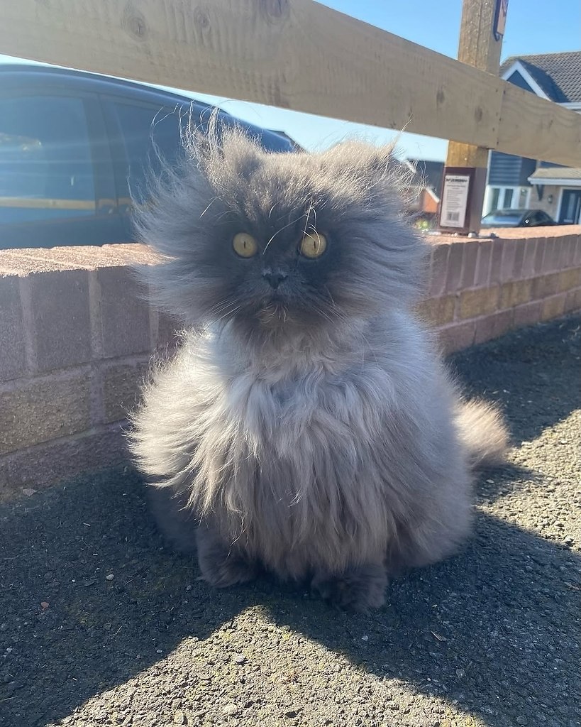 ,   ! ,           - 4