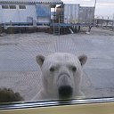 ���� ������, ������, 53 ���� - ��������� 17 ��� 2025 � ������ ���� ����������