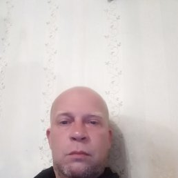 ���� ��������, �������, 48 ��� - ��������� 24 ������ 2025