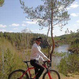 ������, �������-���������, 37 ���