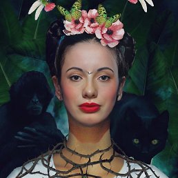 ���� �������, ������ ��������, 29 ��� - ��������� 24 ������� 2024