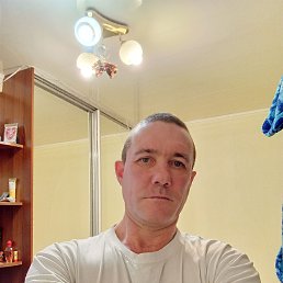 ��������, 41 ���, ����������