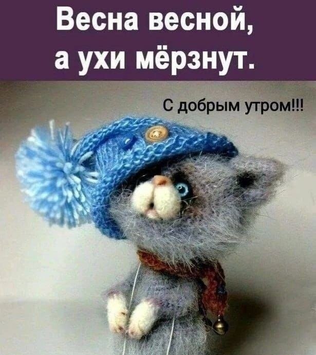   ,    . - 28  2025  06:37