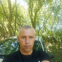 , 33, 