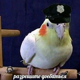 ���� ����, ���������, 29 ��� - ��������� 5 ������� 2023