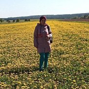 �����, 43 ����, ������