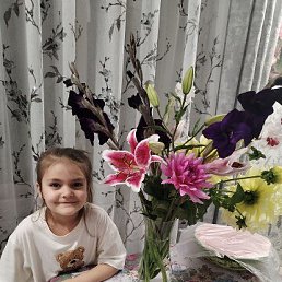 ���� �����, ���������, 34 ���� - ��������� 12 ������ 2026