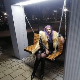 �����, ������, 49 ���