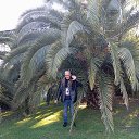 ���� �����, ����, 54 ���� - ��������� 27 ������� 2025 � ������ ���� ����������