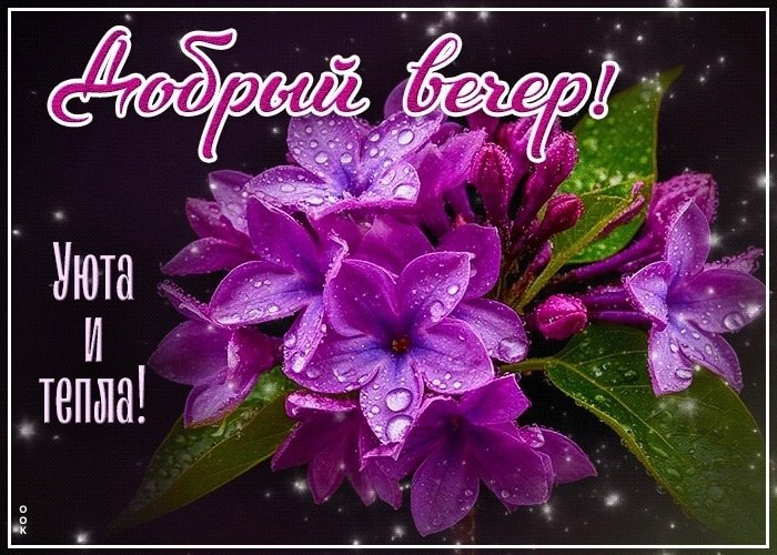 ����������� � ���������, �������� �� ������ ����. - 13 ���� 2025 � 19:01