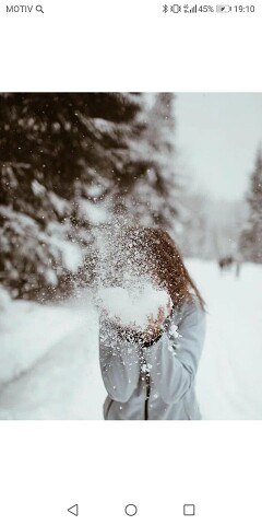 ���� ����, ������������, 44 ���� - ��������� 20 ������� 2023