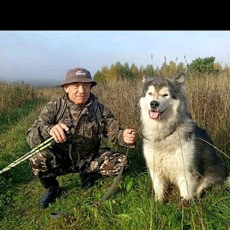 �����, ������, 55 ���