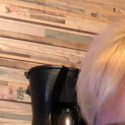 ����, �������, 53 ����