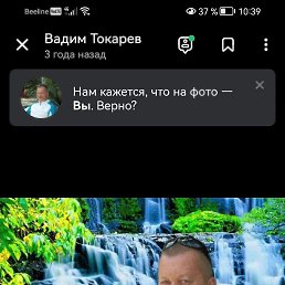 �����, 54 ����, ��������