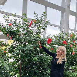 ������, ��������