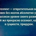 ���� ����, ���� - ��������� 13 ������� 2024 � ������ ���� ����� ������ ������