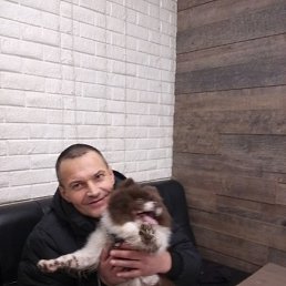 ����, ������, 38 ���