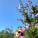 ���� ����, �����-���������, 50 ��� - ��������� 13 ���� 2025 � ������ ���� ����������