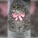 ���� ��������, ����� - ��������� 29 ���� 2025 � ������ ���� ����������