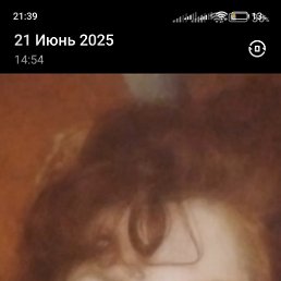 , 54, 