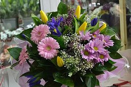 �����������