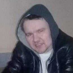 �����, ������, 41 ���