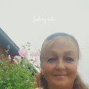 ���� ������, ������������, 62 ���� - ��������� 20 ���� 2026