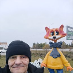 , 50, 