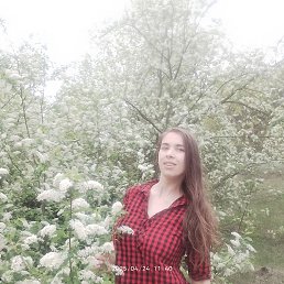 ���� ������, ���������, 34 ���� - ��������� 9 ��� 2025