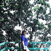 ���, 38 ���, ����