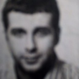 ������, ������, 41 ���