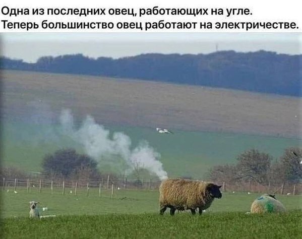  - 8  2025  15:22