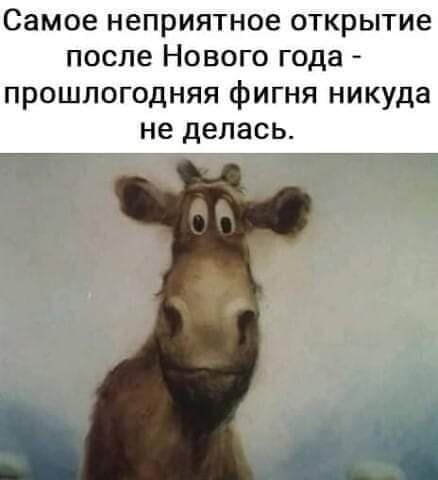  - 11  2024  09:43