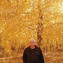 �������, ���������, 70 ���