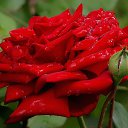 ���� ����, �������, 70 ��� - ��������� 5 ����� 2026 � ������ ������ ��������