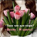 ���� �������, ������������ - ��������� 2 ����� 2026 � ������ ������ ��������