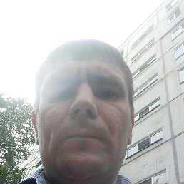 ������, ������ ��������, 41 ���