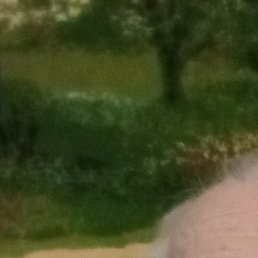 ����, �����������, 76 ���