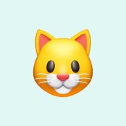 �����, 38 ���, ���������