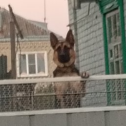 ���� ����� ������, ������, 51 ��� - ��������� 27 ������ 2025