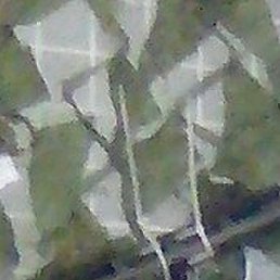 ������, ���������, 46 ���