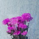 ���� �������, �����������, 47 ��� - ��������� 28 ������� 2023