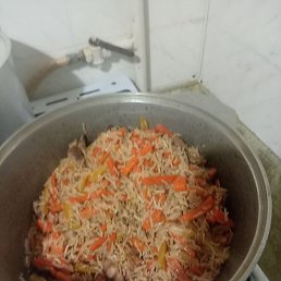 ���� ����, ������������, 40 ��� - ��������� 2 ������ 2026