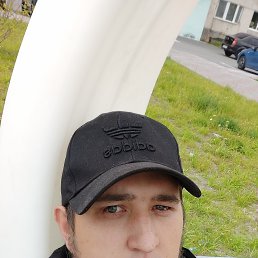 , 29, 