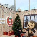 ���� �������, �����������, 43 ���� - ��������� 11 ������ 2026