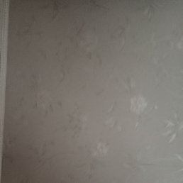 ���� ������, ����, 51 ��� - ��������� 26 ������ 2024