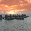 ���� �����, ������, 63 ���� - ��������� 23 ������ 2023 � ������ ���� ����������