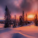 ���� �����, ����, 40 ��� - ��������� 3 ������� 2024 � ������ ����� 2024 (3.12.2024 // 0:49)�